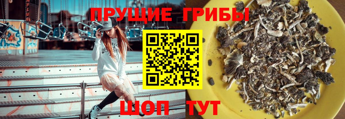 Псилоцибиновые грибы Cubensis Невинномысск