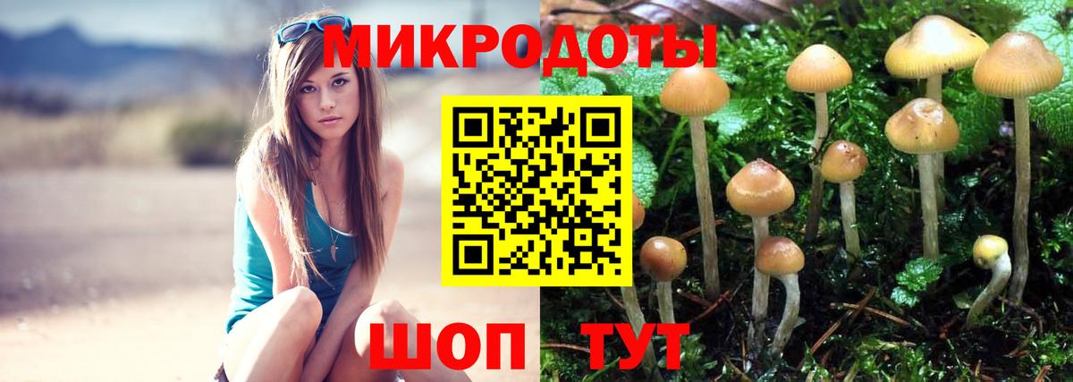 Псилоцибиновые грибы MAGIC MUSHROOMS  Вход с VPN  Невинномысск  Псилоцибиновые грибы Psilocybine cubensis 